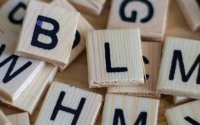 Training für Fachkräfte: Sprachsensibler Umgang mit berufsbezogenen Texten