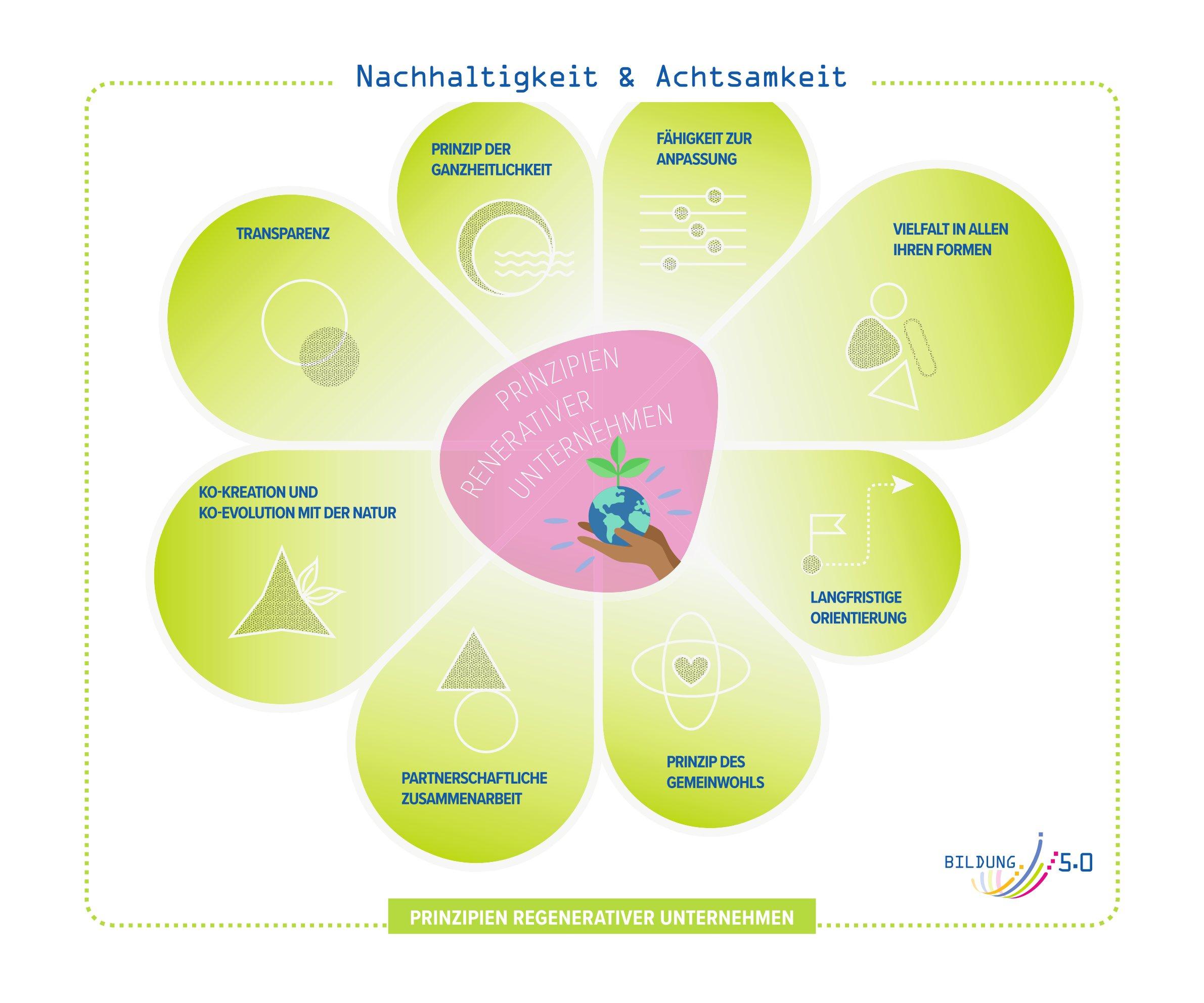 Infografik in Form einer stilisierten Blüte zum Thema „Nachhaltigkeit & Achtsamkeit“. In der Mitte steht „Prinzipien regenerativer Unternehmen“ mit einer Illustration einer Hand, die eine kleine Erde mit Pflanzentrieb hält. Die acht Blütenblätter benennen zentrale Prinzipien: Transparenz, Prinzip der Ganzheitlichkeit, Fähigkeit zur Anpassung, Vielfalt in allen ihren Formen, langfristige Orientierung, Prinzip des Gemeinwohls, partnerschaftliche Zusammenarbeit sowie Ko-Kreation und Ko-Evolution mit der Natur. Die Grafik ist in hellen Grün- und Rosatönen gestaltet.